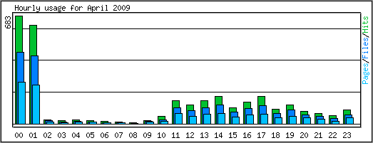 Hourly usage