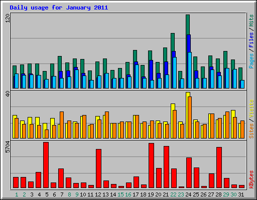 Daily usage for January 2011