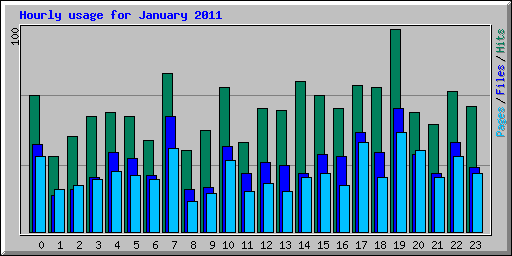 Hourly usage for January 2011